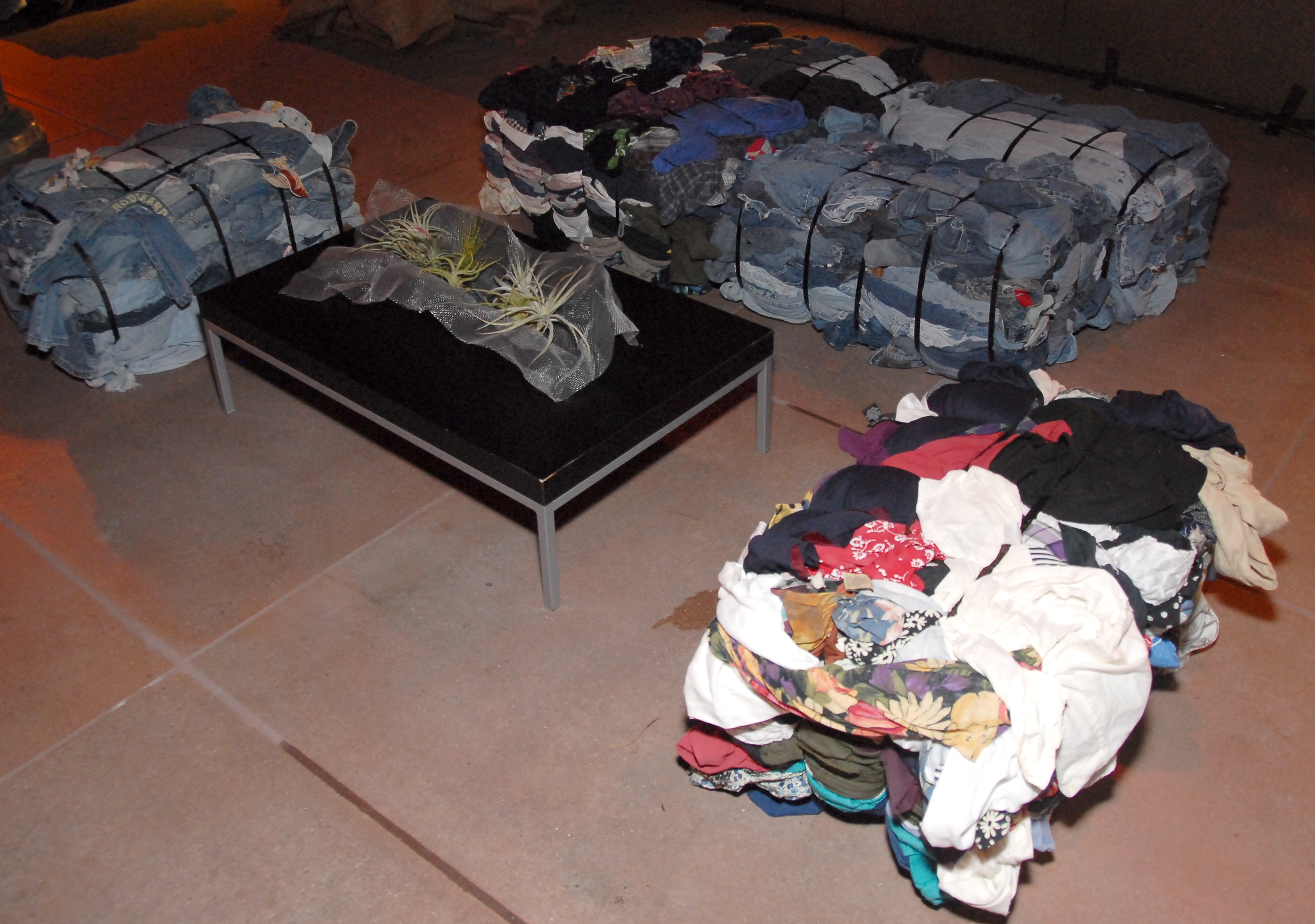 SkinBones_438Cropped